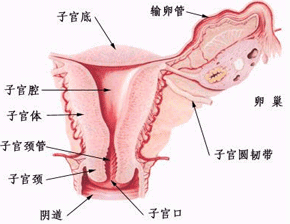 禄劝妇女儿童人流医院